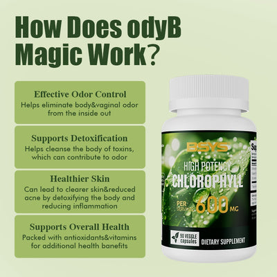 BSYS Chlorophyll Capsules Fat Metabolism Support Aid