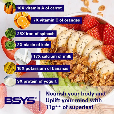 BSYS Moringa Capsules  Antioxidant & Anti-Inflammatory Support