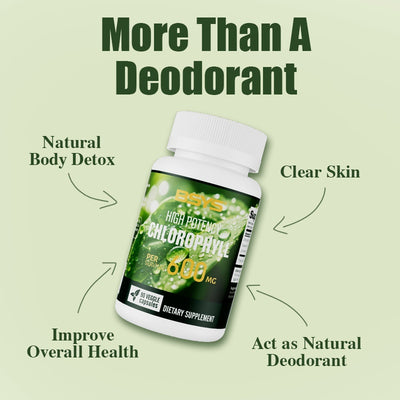 BSYS Chlorophyll Capsules Fat Metabolism Support Aid
